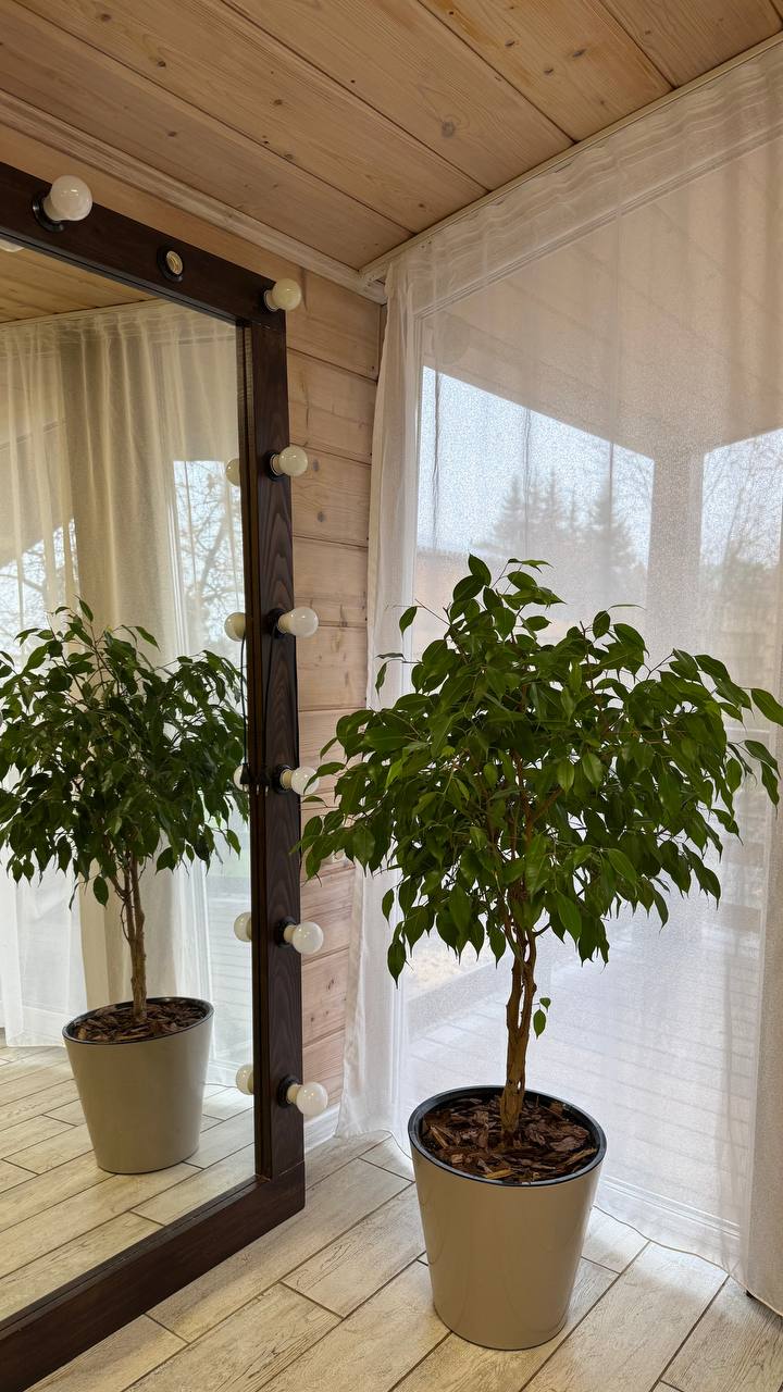 Отдых в загородном домике